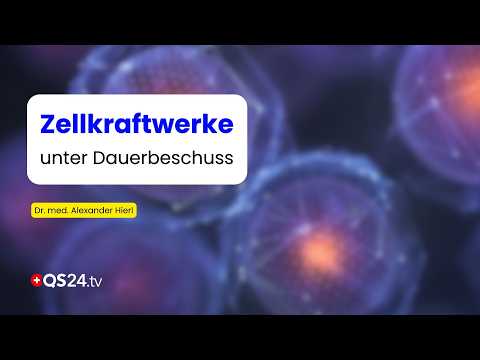 Vorschaubild des QS24-Interviews mit Dr. med. Alexander Hierl zu mitochondrialen Schutzsystemen
